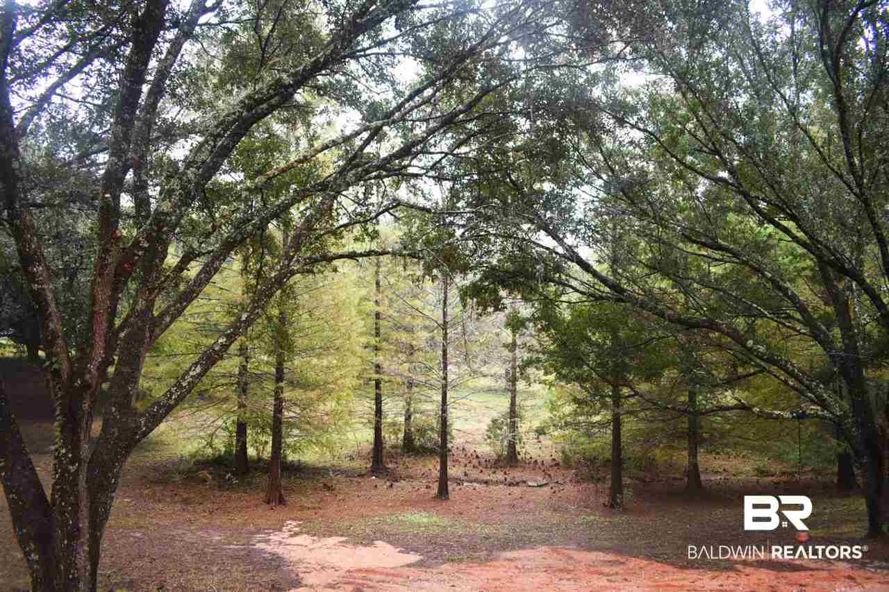 11800 Whitehouse Fork Road Bay Minette, AL 36507 - Photo 3 of 29