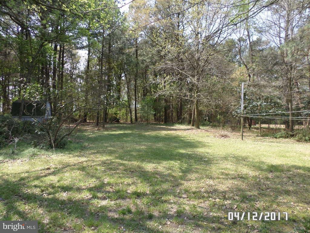 11252 Laurel Road Laurel, DE 19956 - Photo 19 of 20 Gallery Image 19