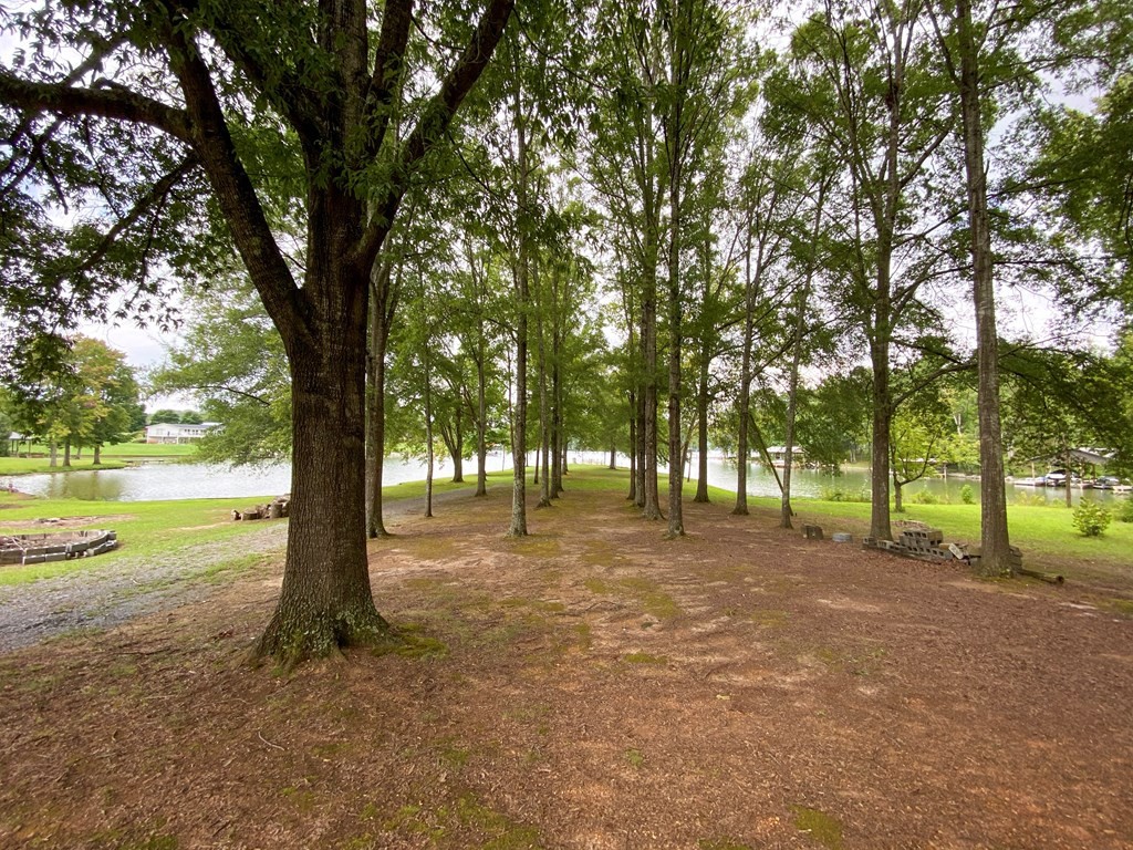 3470 River Road Ten Mile, TN 37880 - Photo 4 of 20 Gallery Image 4