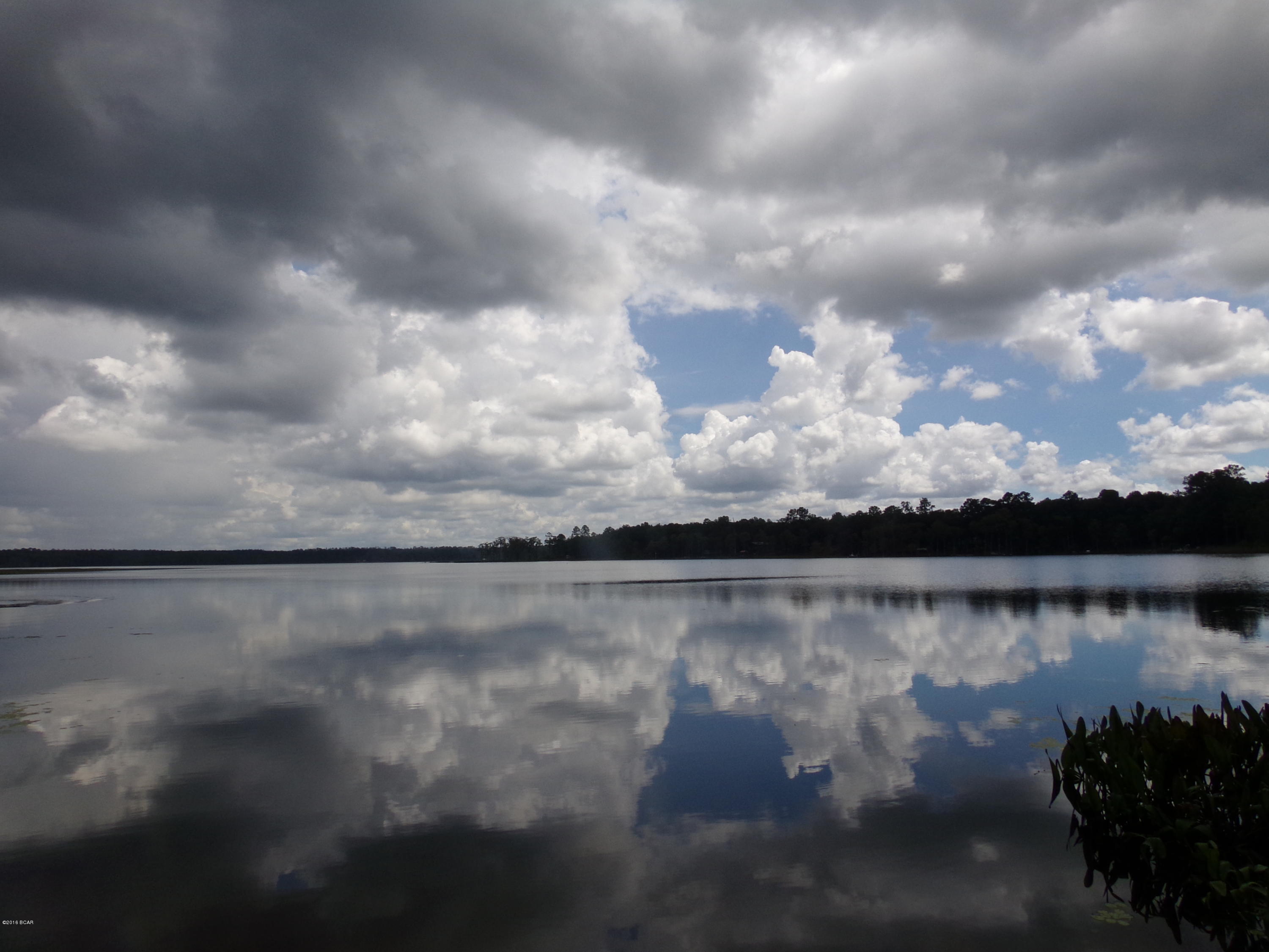 0 Lucas Lake Road Chipley, FL 32428 - Photo 18 of 18 Gallery Image 18