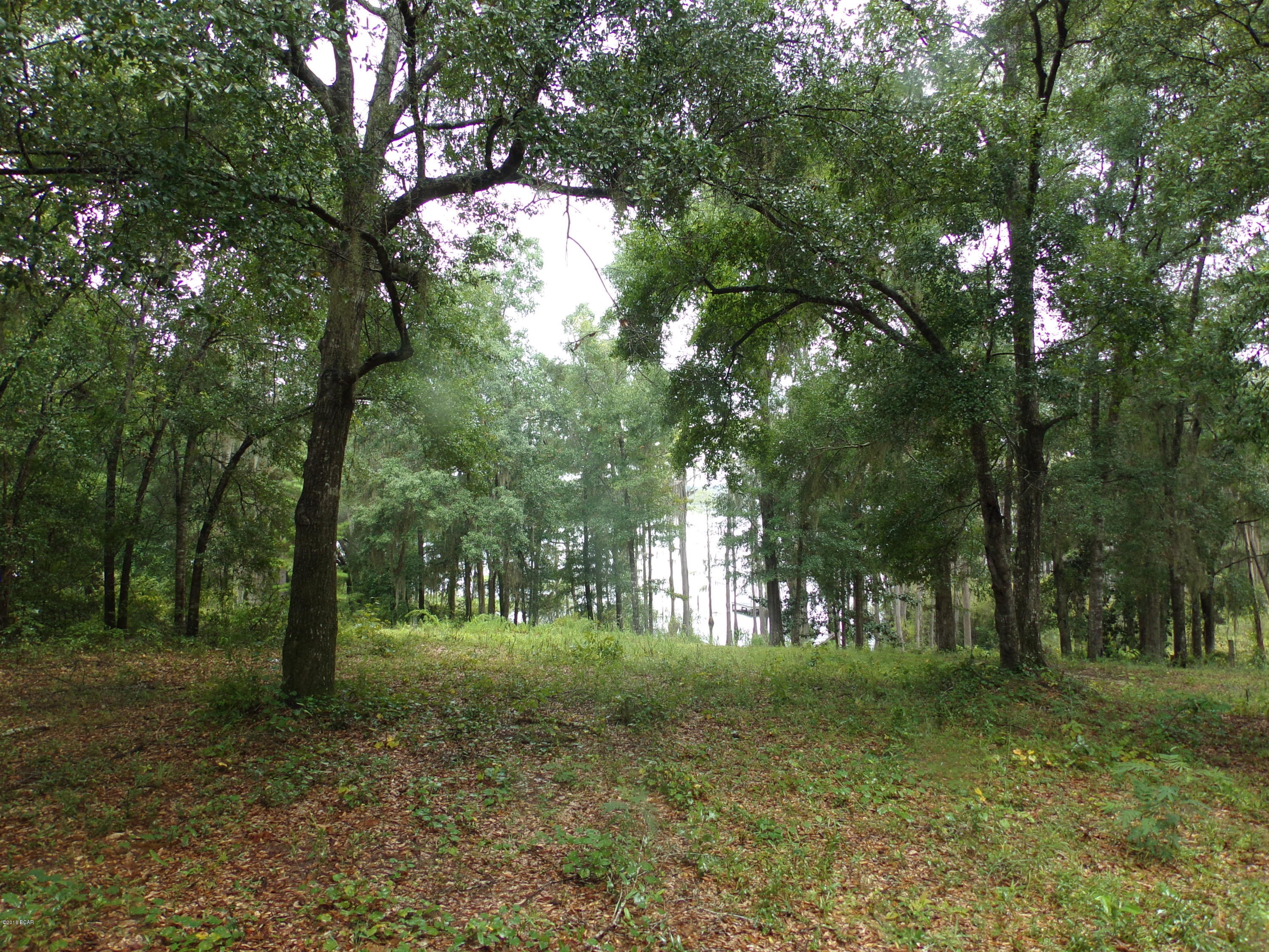 0 Lucas Lake Road Chipley, FL 32428 - Photo 9 of 18 Gallery Image 9