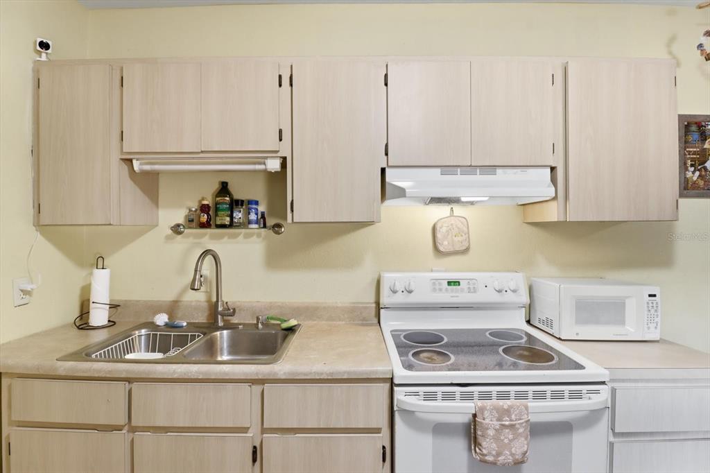 4686 South Brush Hollow Loop Inverness, FL 34450 - Photo 27 of 50