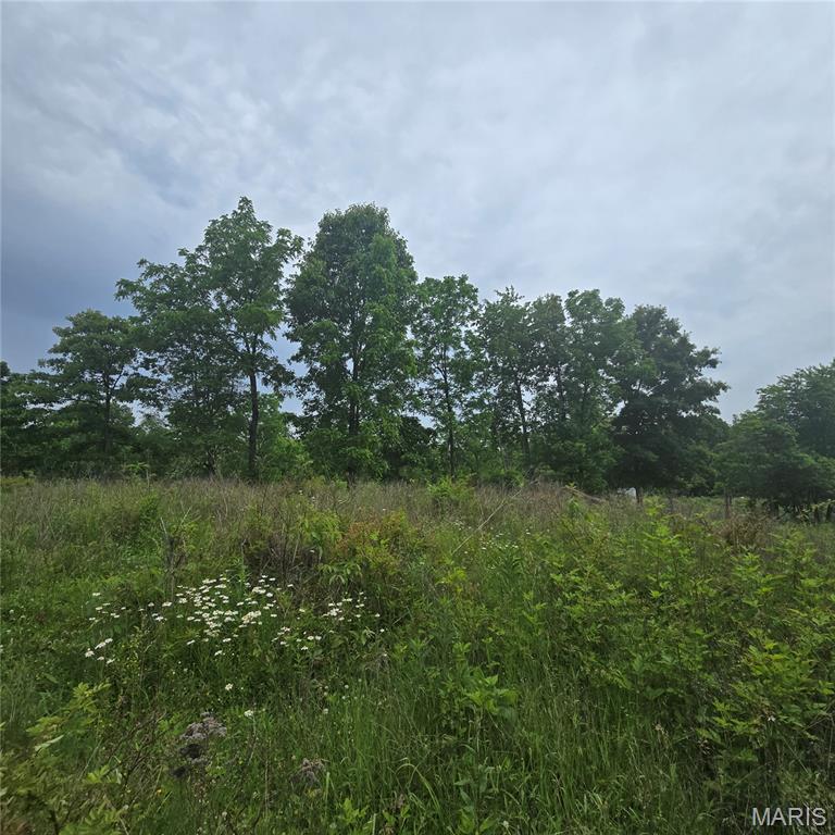14809 East Knox Road Mount Vernon, IL 62864 - Photo 9 of 31
