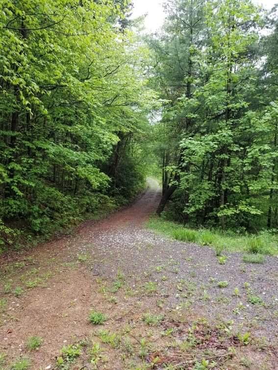 Henderson Rd Road Hartford, TN 37753 - Photo 22 of 37 IMG_6855