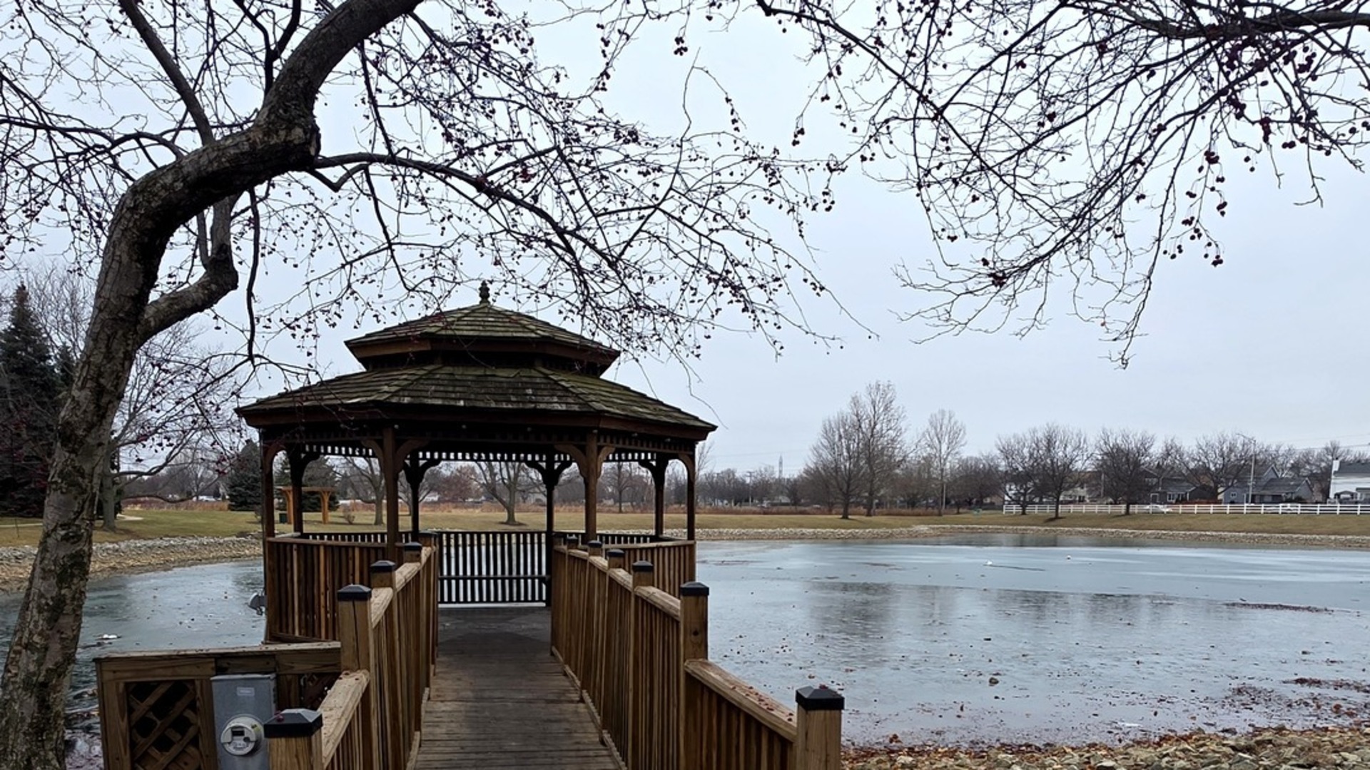 1489 Windflower Court Romeoville, IL 60446 - Photo 10 of 10