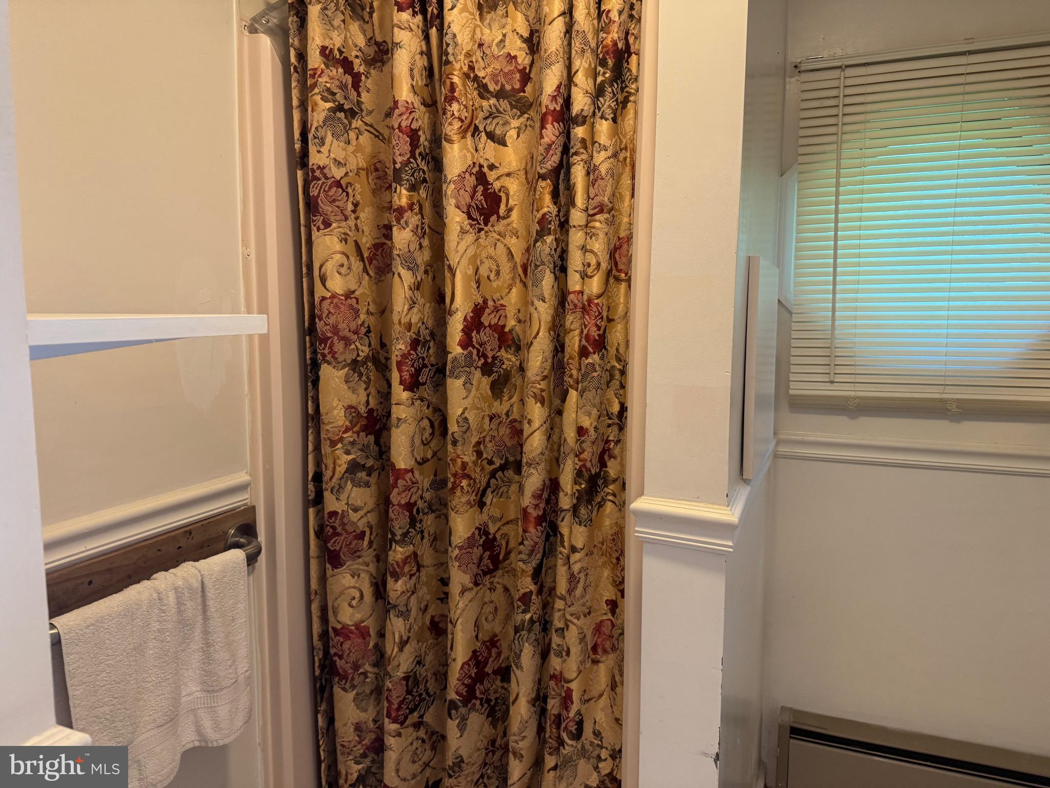 304 Cool Hollow Road Falling Waters, WV 25419 - Photo 37 of 42 a bathroom with a shower curtain