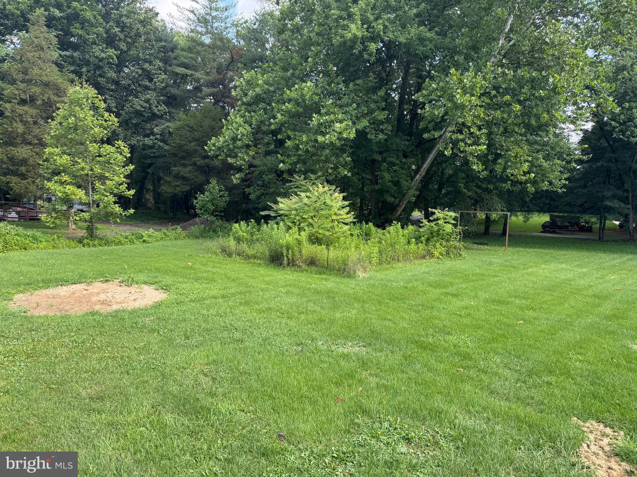 304 Cool Hollow Road Falling Waters, WV 25419 - Photo 9 of 42 a view of a park with a tree