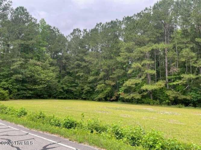 Tbd Point Caswell Road Watha, NC 28478 - Photo 2 of 5