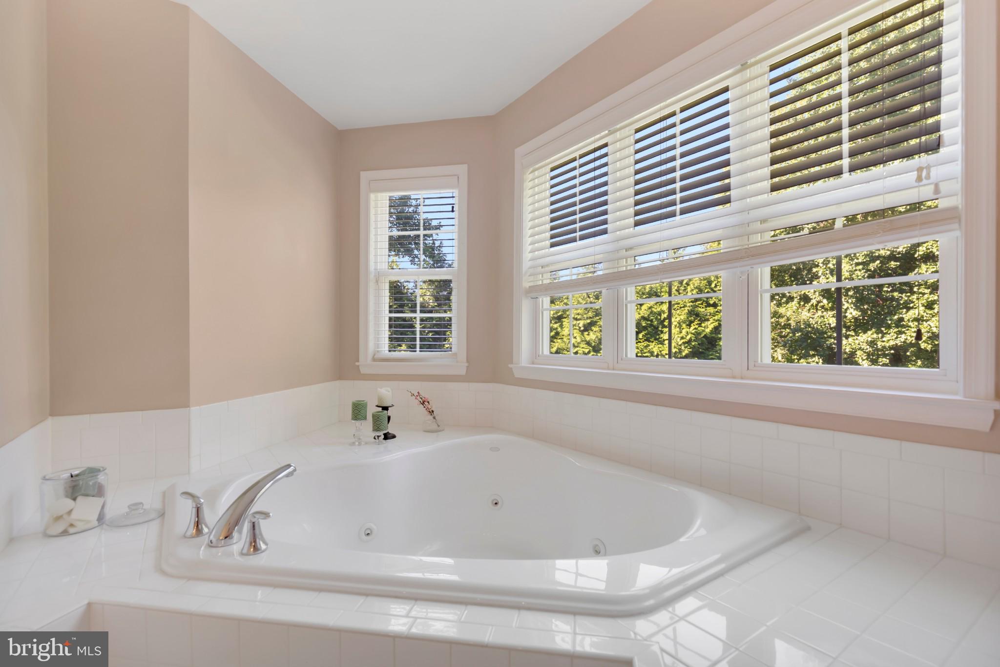 3605 Samantha's Way Huntingtown, MD 20639 - Photo 14 of 30 Soaking tub