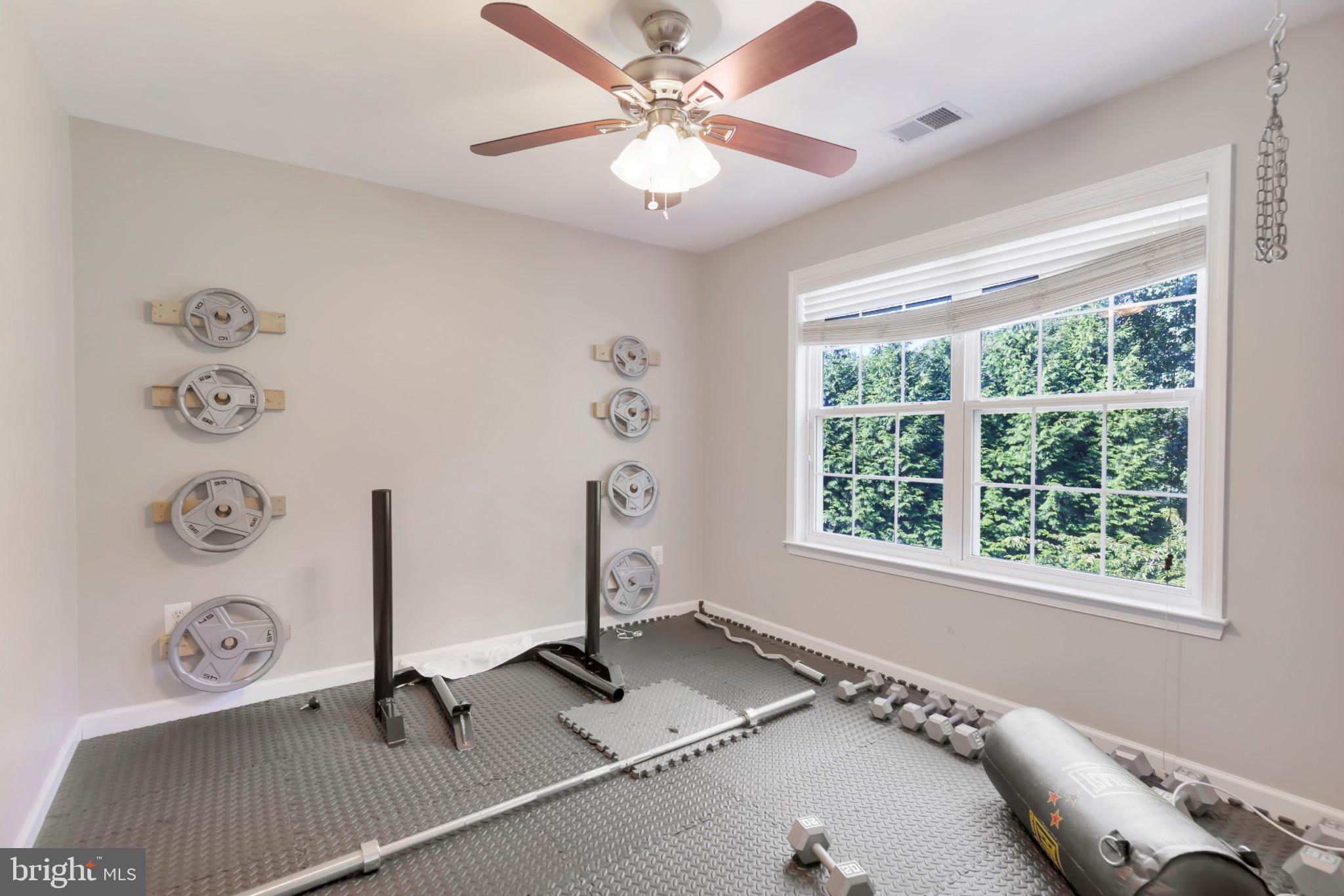 3605 Samantha's Way Huntingtown, MD 20639 - Photo 17 of 30 Bedroom being used for weight room up stairs