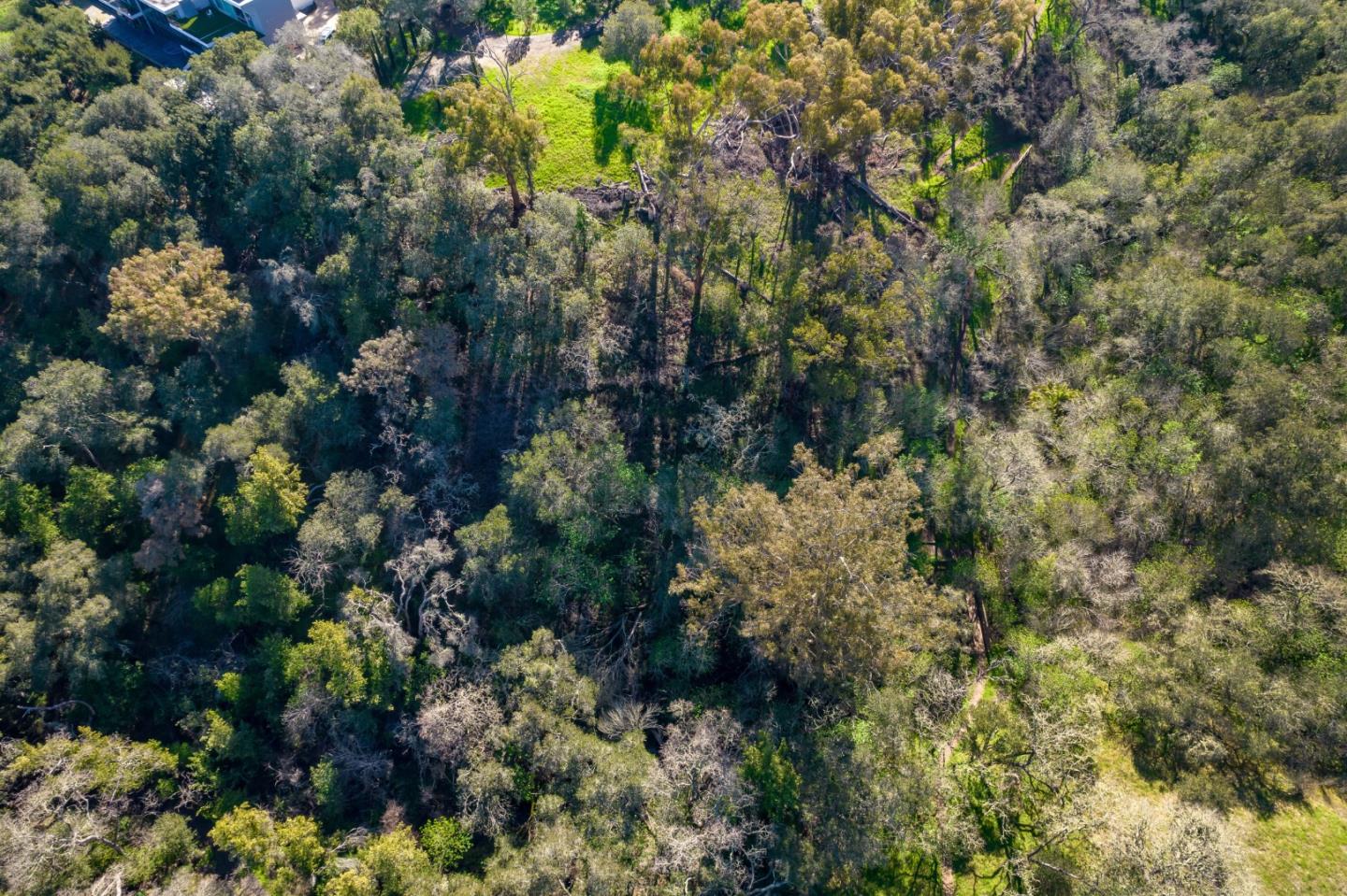 0 Taaffe Road Los Altos Hills, CA 94022 - Photo 7 of 7