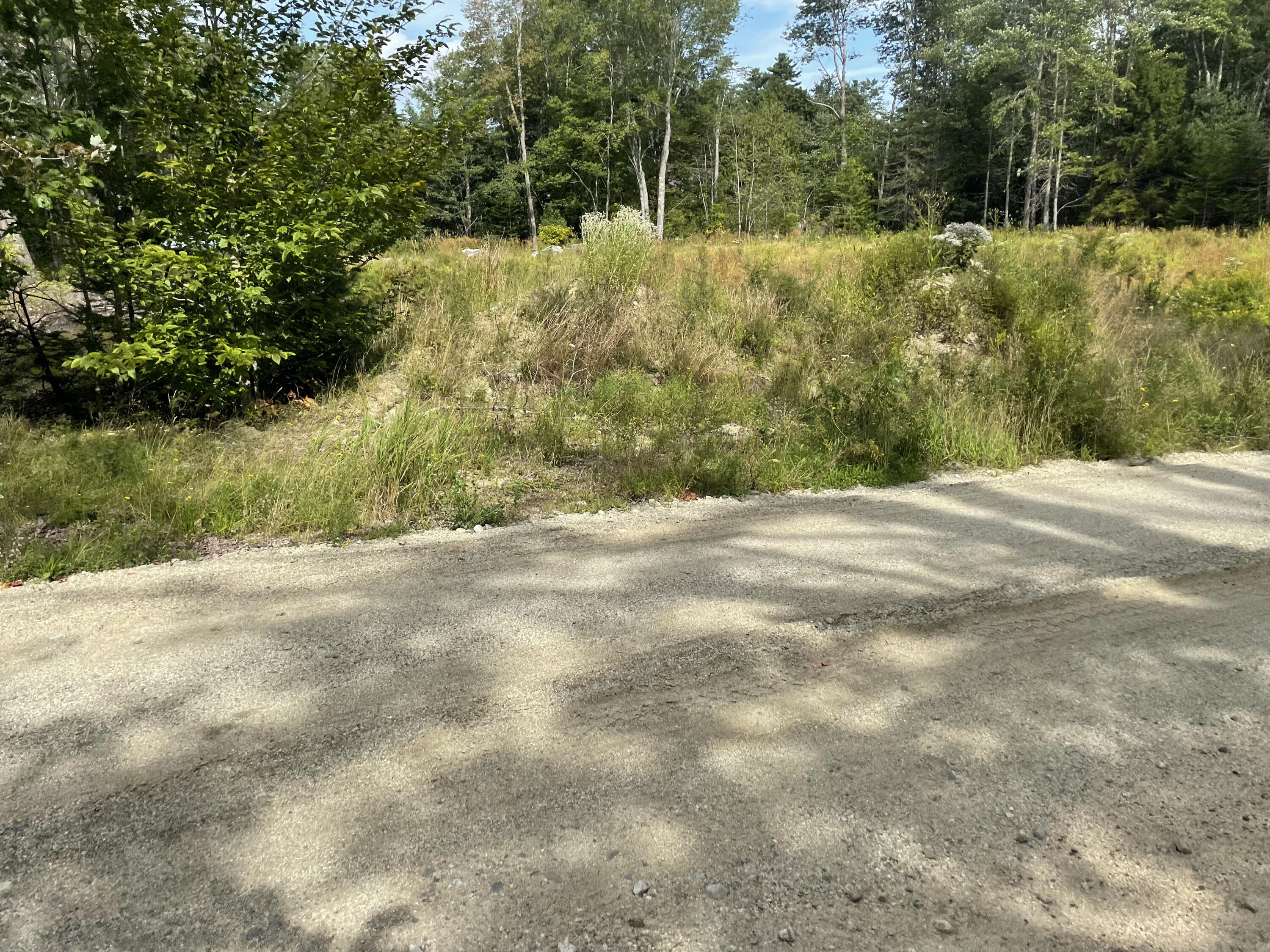 135 Hinckley Ridge Road Blue Hill, ME 04614 - Photo 6 of 7 IMG_4701 2