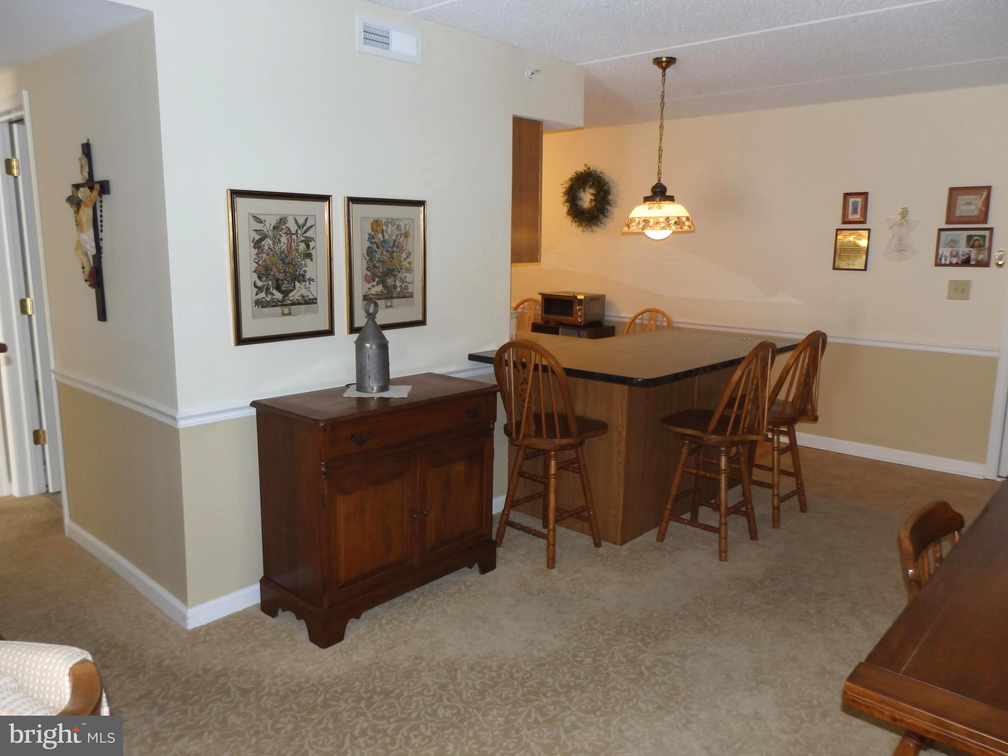 104 Brandon Road, Unit 1 Norristown, PA 19403 - Photo 9 of 24 View to Kitchen Counter