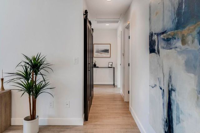 a view of a room with a potted plant