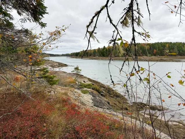 $245,000 | 1099 U.S. Rte 1, Dennysville, ME 04628