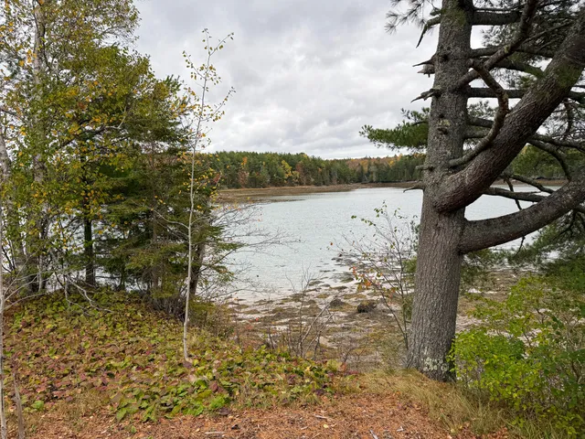 $245,000 | 1099 U.S. Rte 1, Dennysville, ME 04628