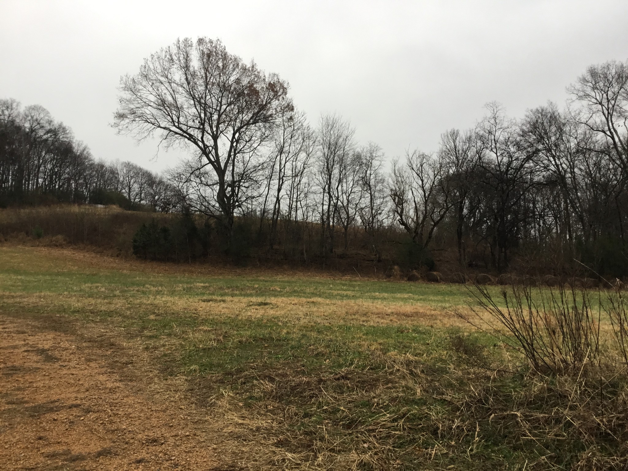156 Dickson Marks Road Pulaski, TN 38478 - Photo 19 of 32