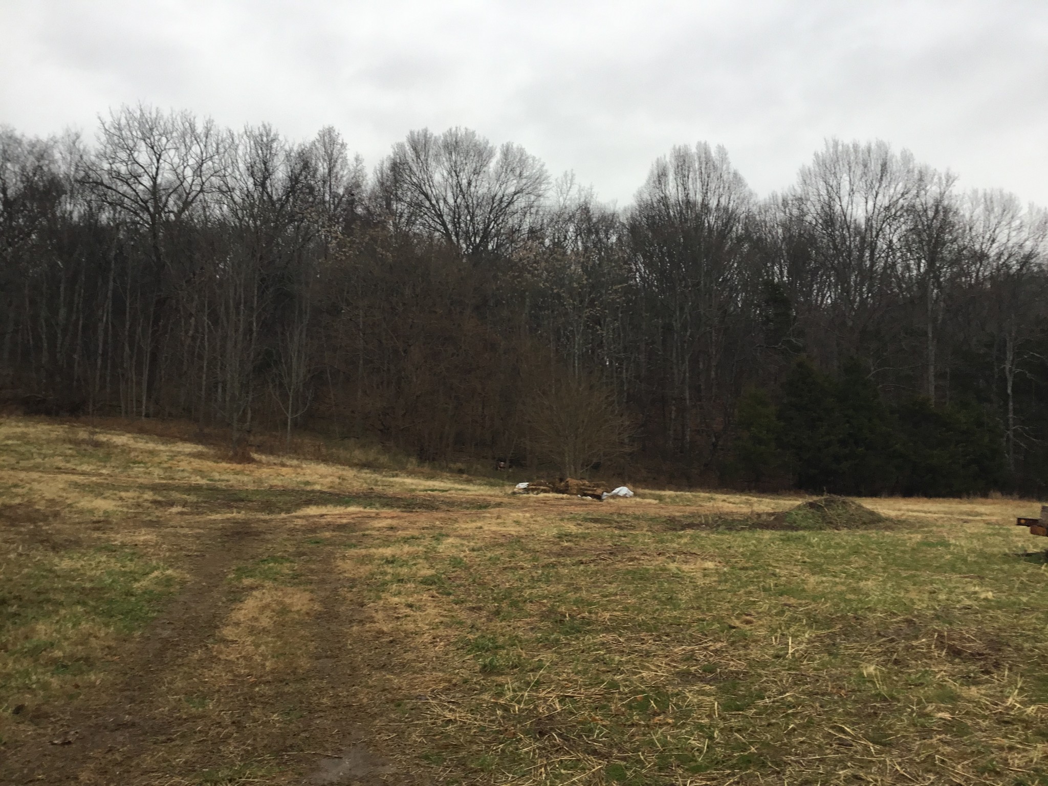 156 Dickson Marks Road Pulaski, TN 38478 - Photo 20 of 32