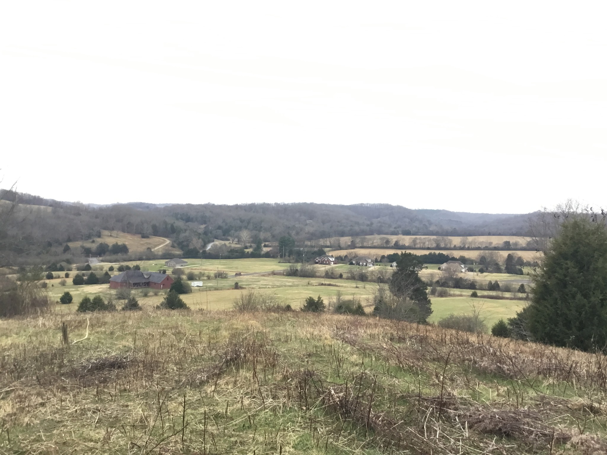156 Dickson Marks Road Pulaski, TN 38478 - Photo 2 of 32