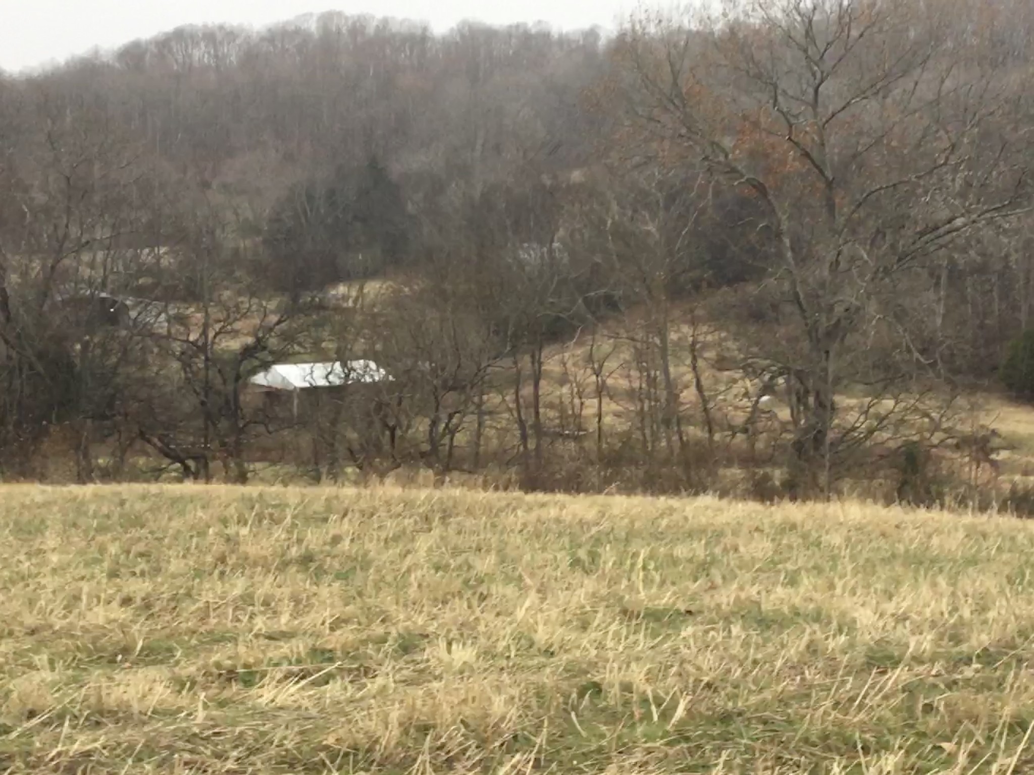 156 Dickson Marks Road Pulaski, TN 38478 - Photo 21 of 32