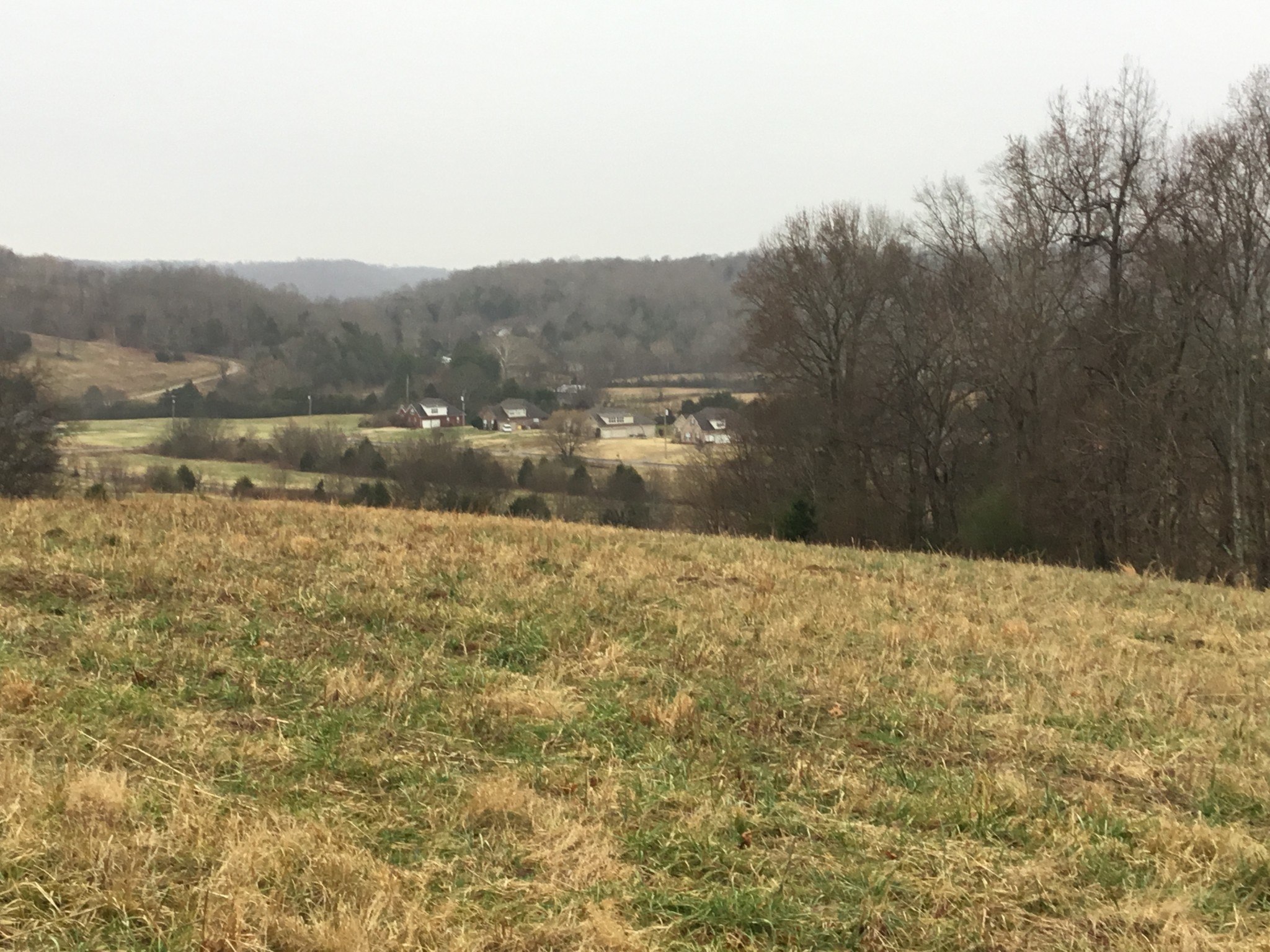 156 Dickson Marks Road Pulaski, TN 38478 - Photo 22 of 32