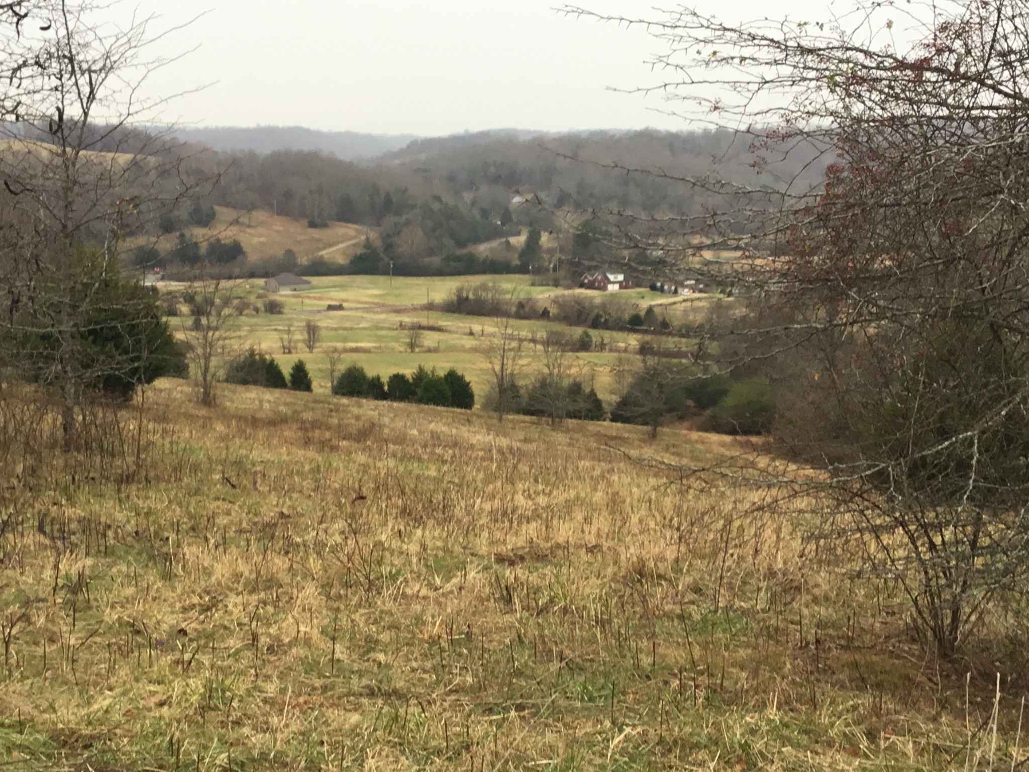 156 Dickson Marks Road Pulaski, TN 38478 - Photo 23 of 32