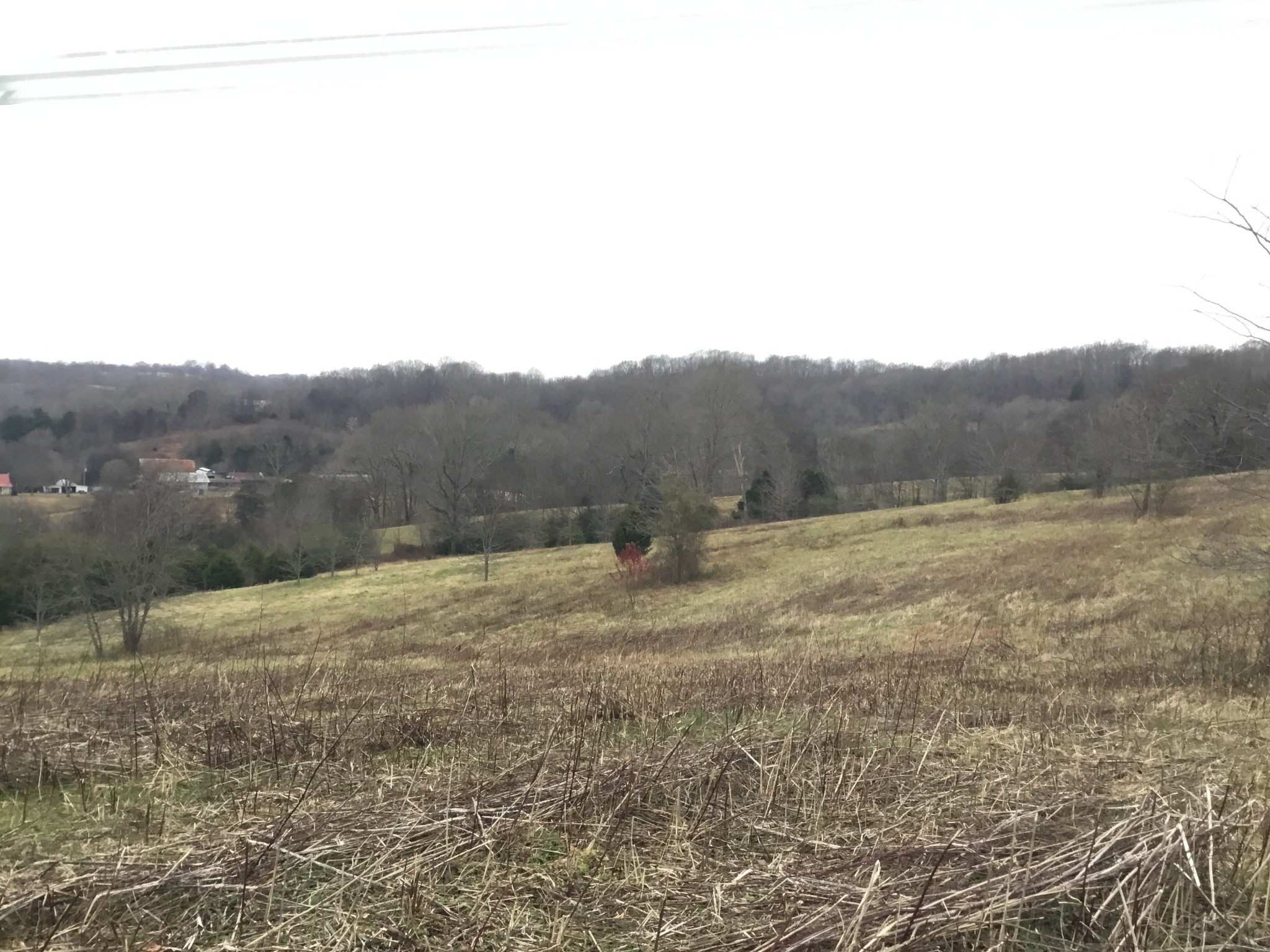 156 Dickson Marks Road Pulaski, TN 38478 - Photo 26 of 32