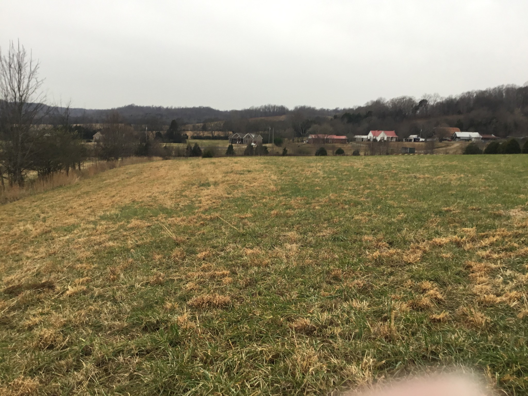 156 Dickson Marks Road Pulaski, TN 38478 - Photo 28 of 32