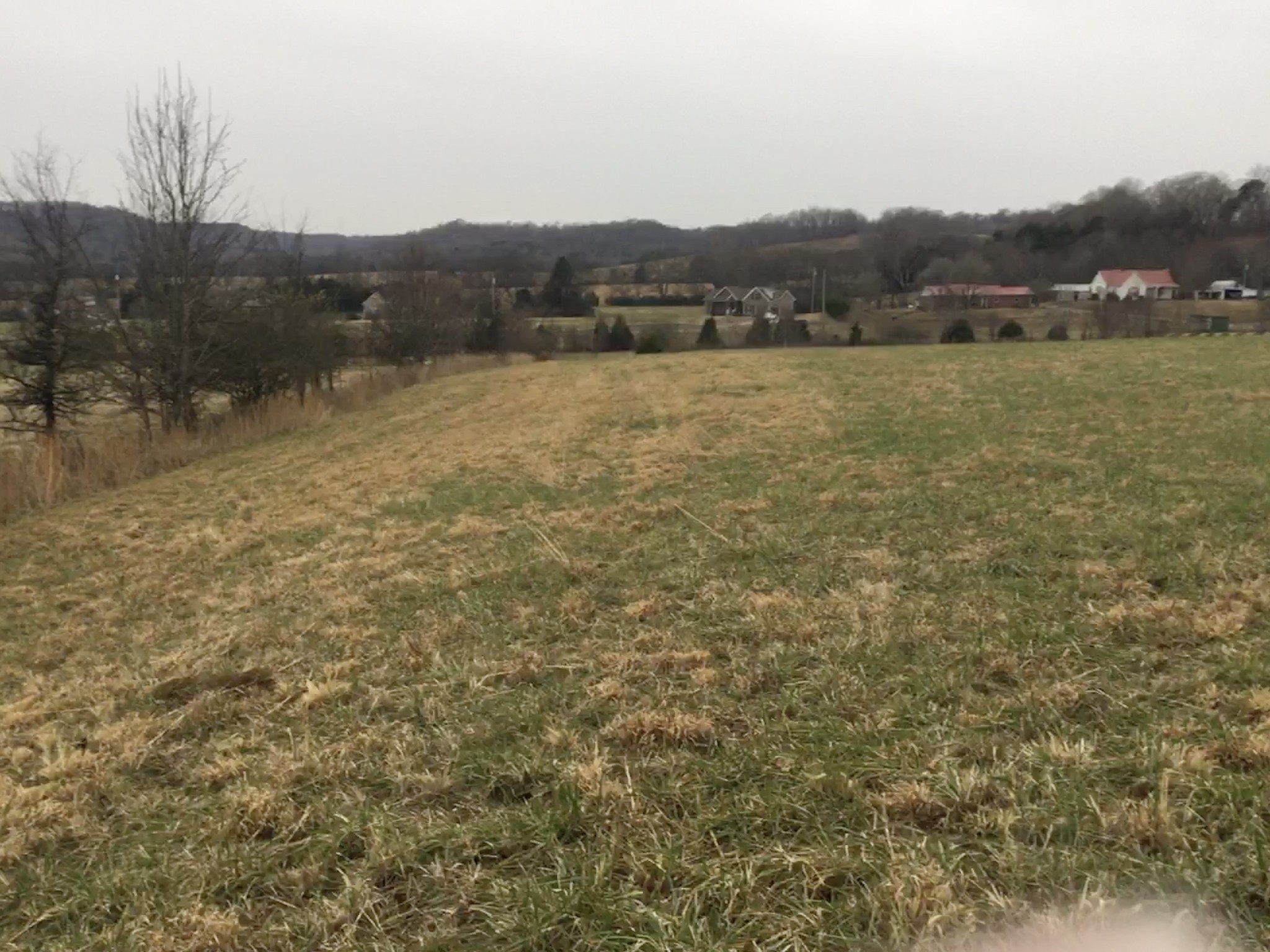 156 Dickson Marks Road Pulaski, TN 38478 - Photo 29 of 32