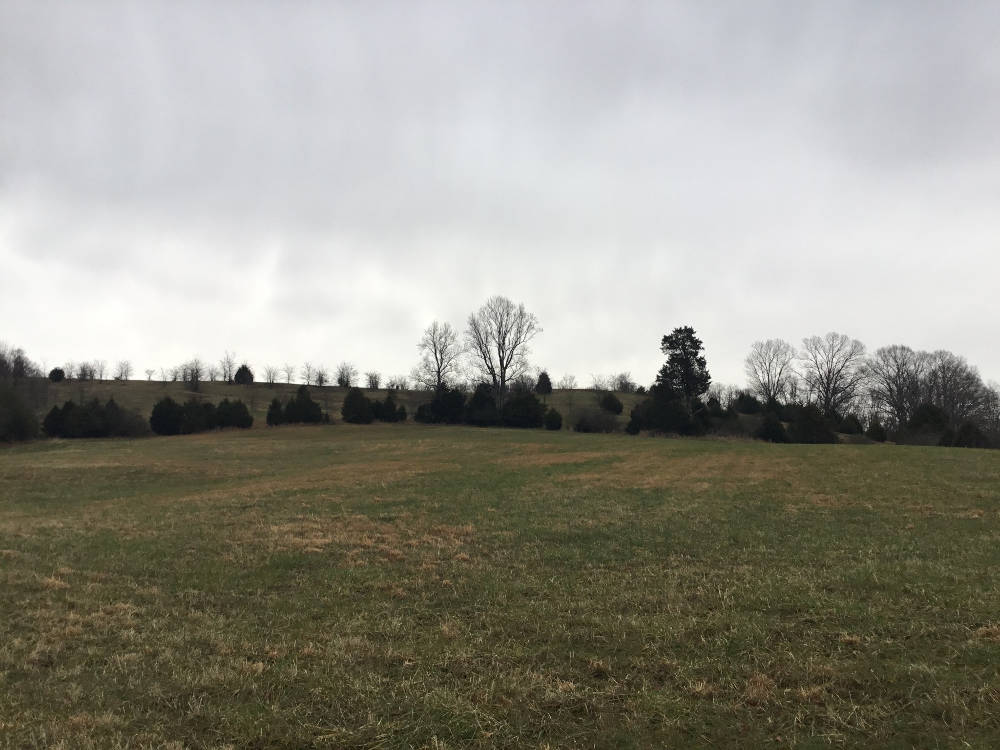 156 Dickson Marks Road Pulaski, TN 38478 - Photo 30 of 32