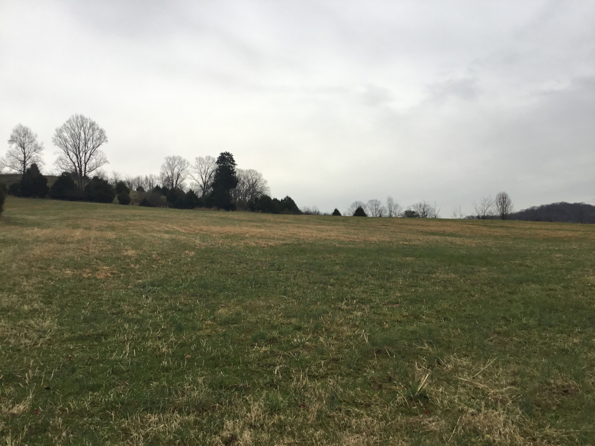 156 Dickson Marks Road Pulaski, TN 38478 - Photo 31 of 32