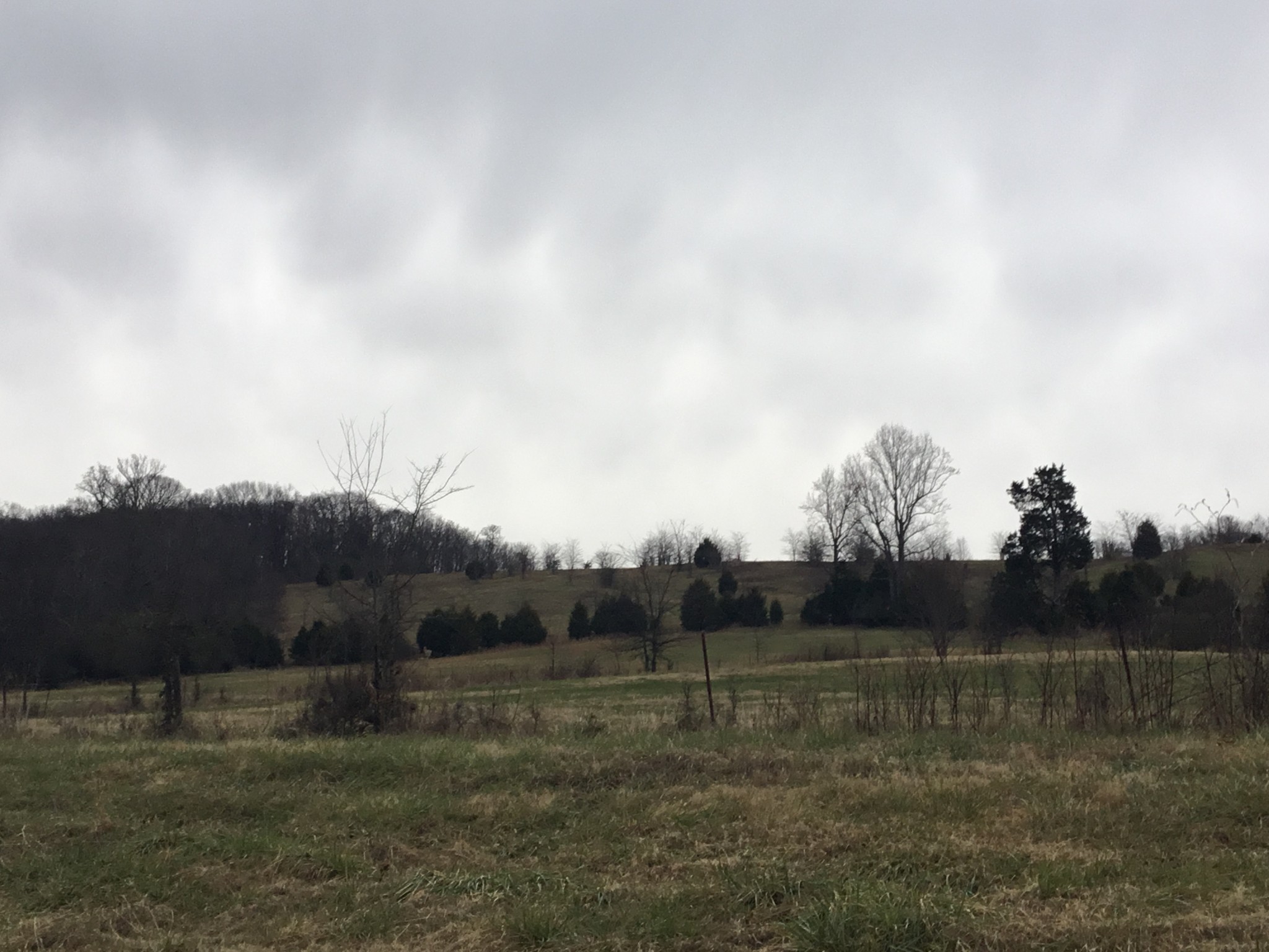 156 Dickson Marks Road Pulaski, TN 38478 - Photo 32 of 32