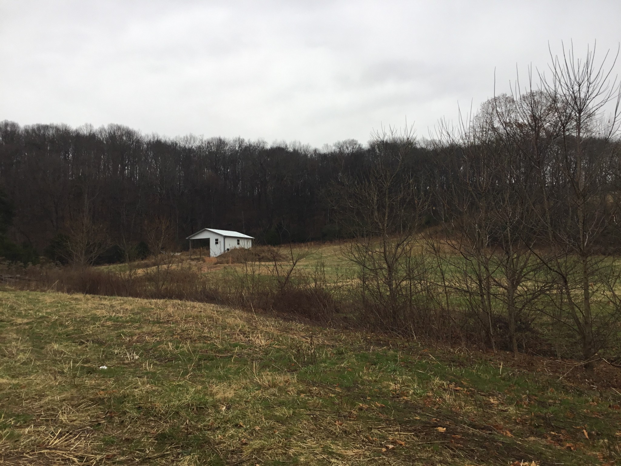 156 Dickson Marks Road Pulaski, TN 38478 - Photo 4 of 32