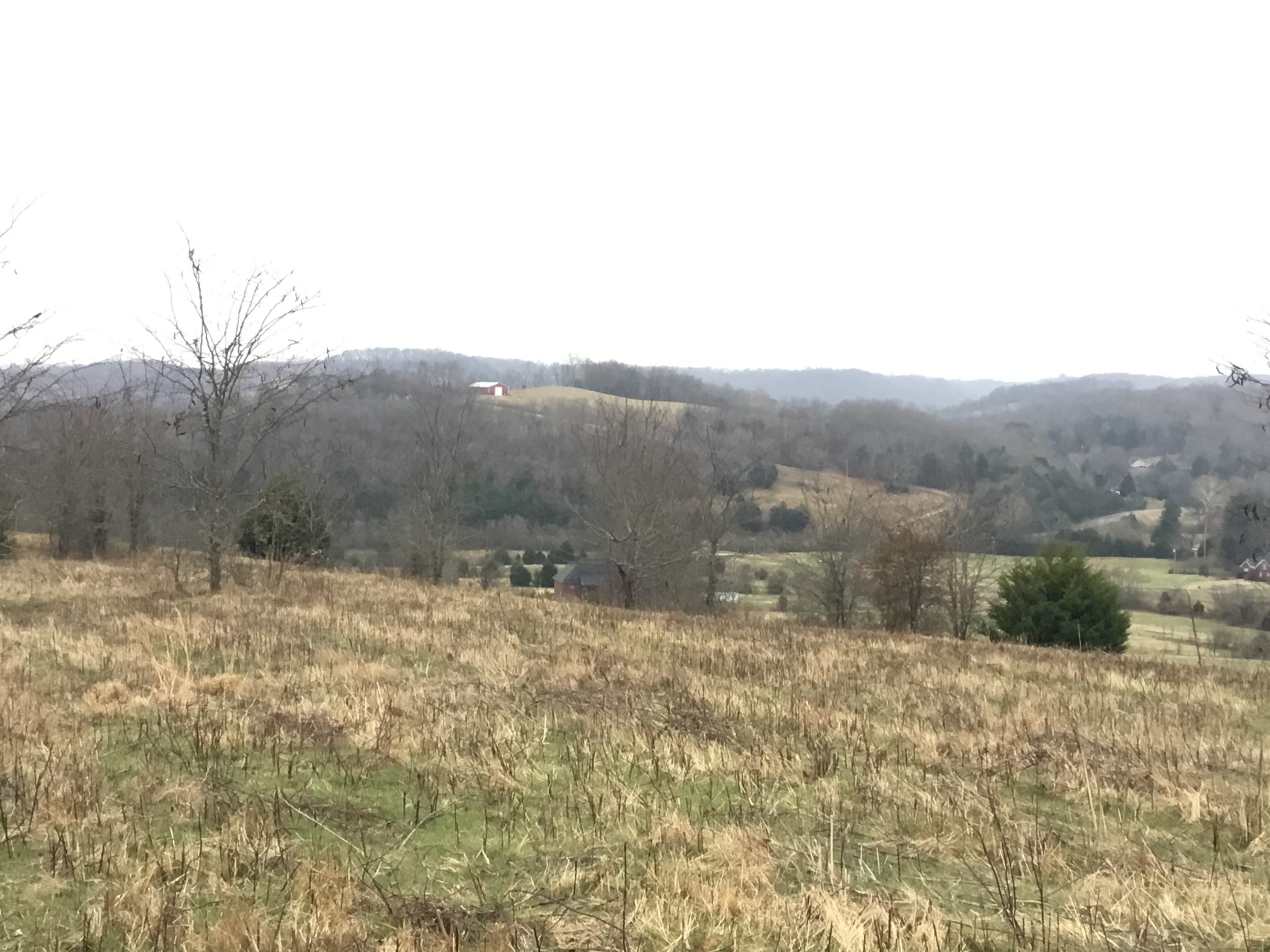 156 Dickson Marks Road Pulaski, TN 38478 - Photo 6 of 32