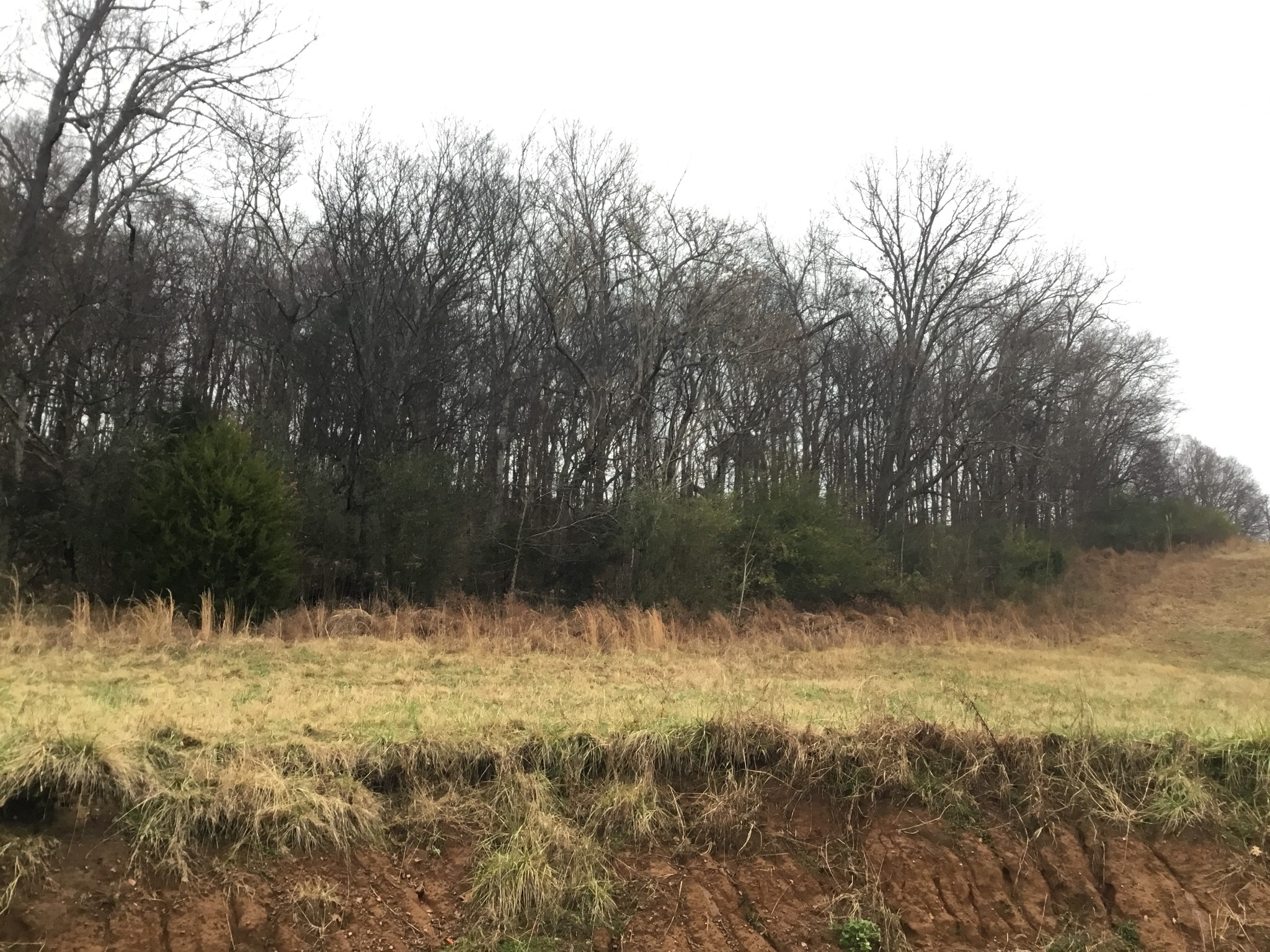 156 Dickson Marks Road Pulaski, TN 38478 - Photo 7 of 32