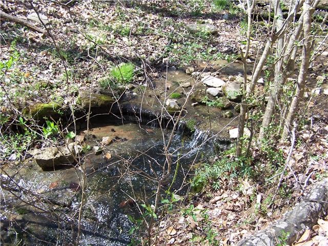 156 Dickson Marks Road Pulaski, TN 38478 - Photo 8 of 32