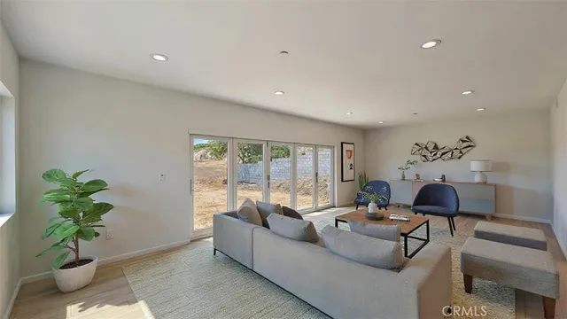 a living room with furniture and a potted plant