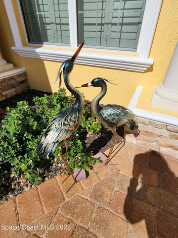 a view of a swimming pool with a lounge chairs