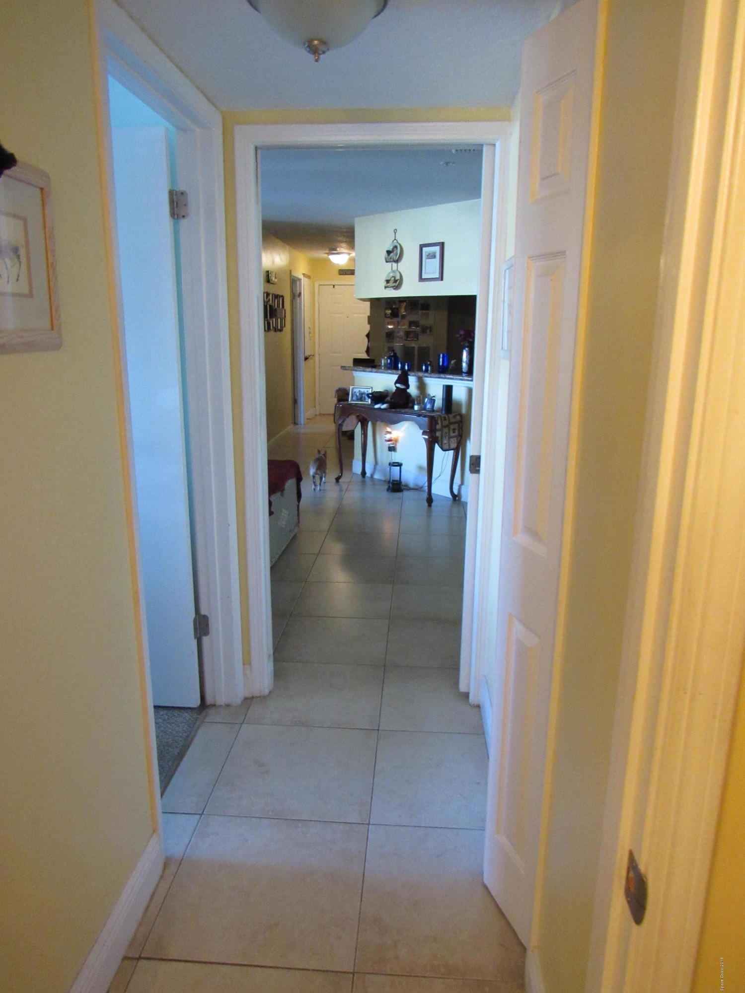 7667 North Wickham Road, Unit 111 Melbourne, FL 32940 - Photo 8 of 21 Hallway