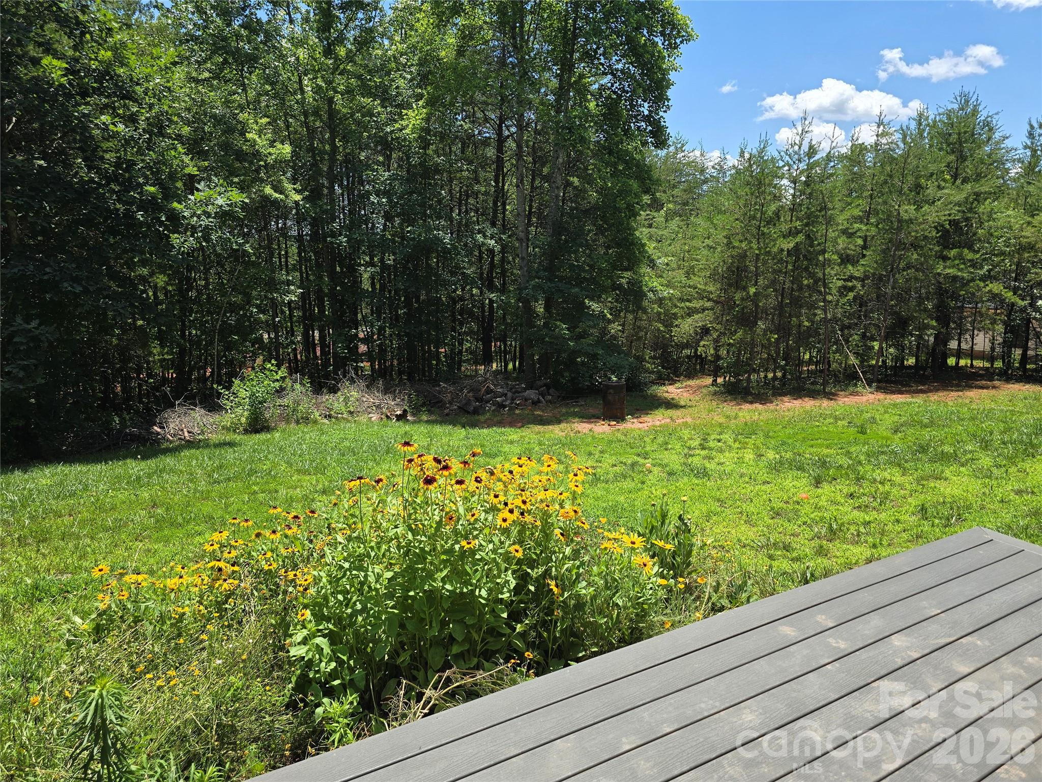 980 Smith Waldrop Road Columbus, NC 28722 - Photo 7 of 22