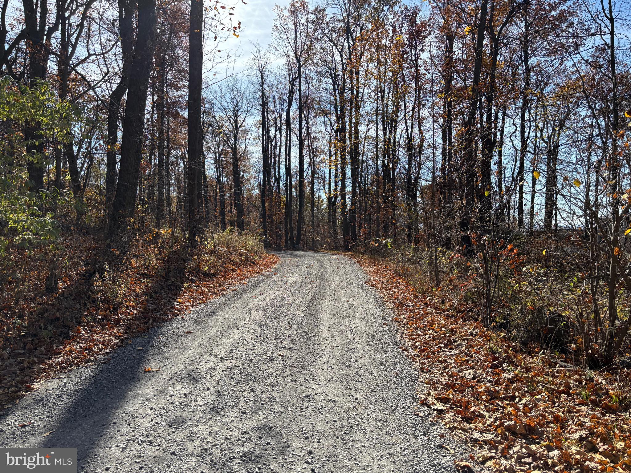 477 Fire Trail Road Front Royal, VA 22630 - Photo 67 of 80 Walking path