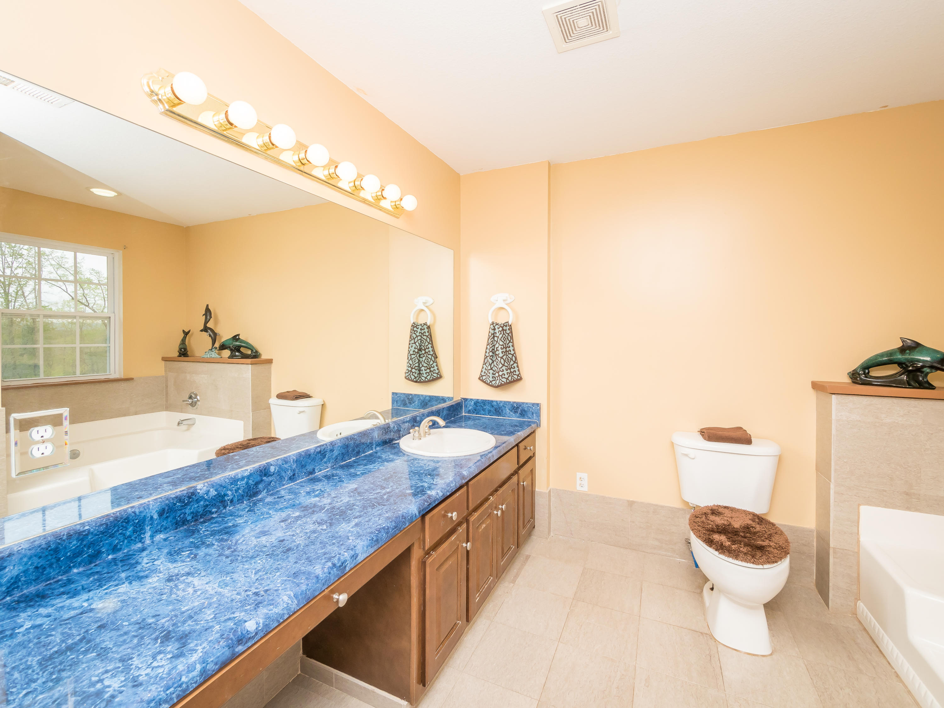 395 Echo Pt Road Dunlap, TN 37327 - Photo 24 of 38 master bath