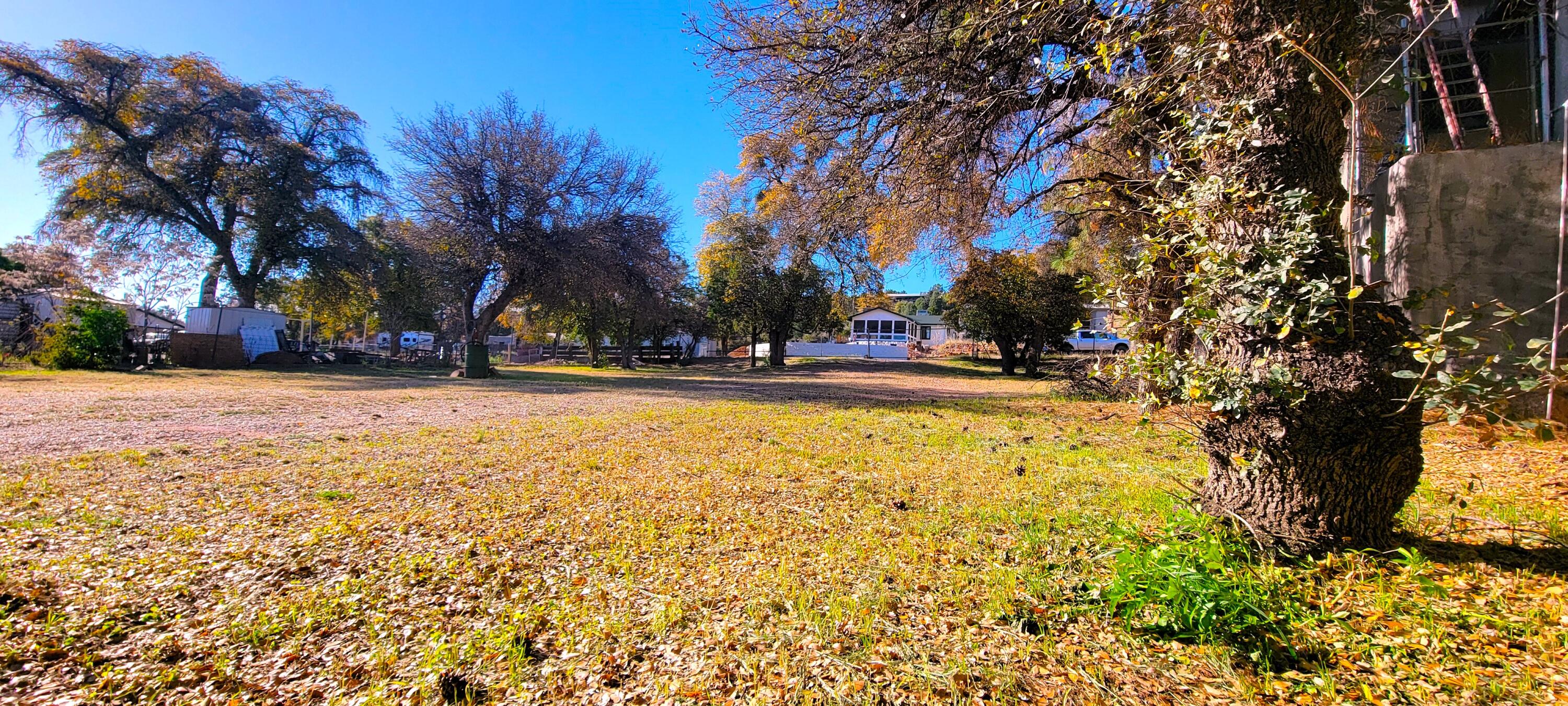 414 West Main Street Payson, AZ 85541 - Photo 4 of 15