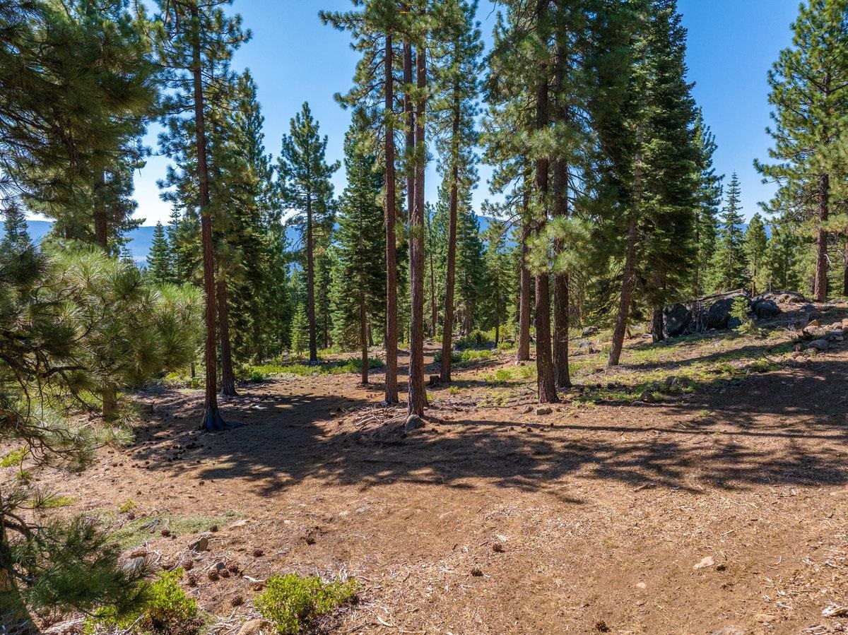 11494 Alder Hill Road Truckee, CA 96161 - Photo 12 of 28