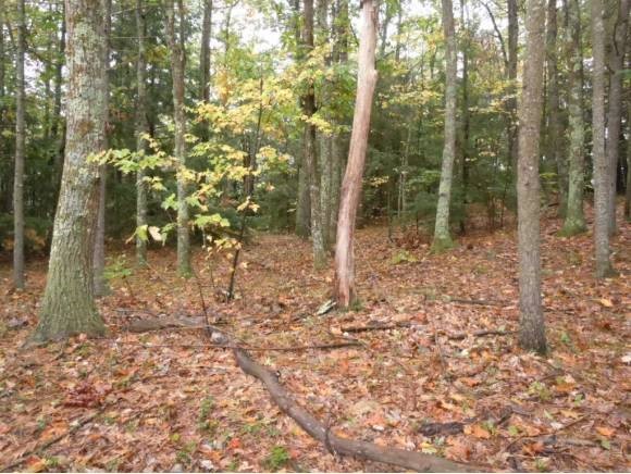 13 Old Town Farm Road Exeter, NH 03833 - Photo 1 of 1
