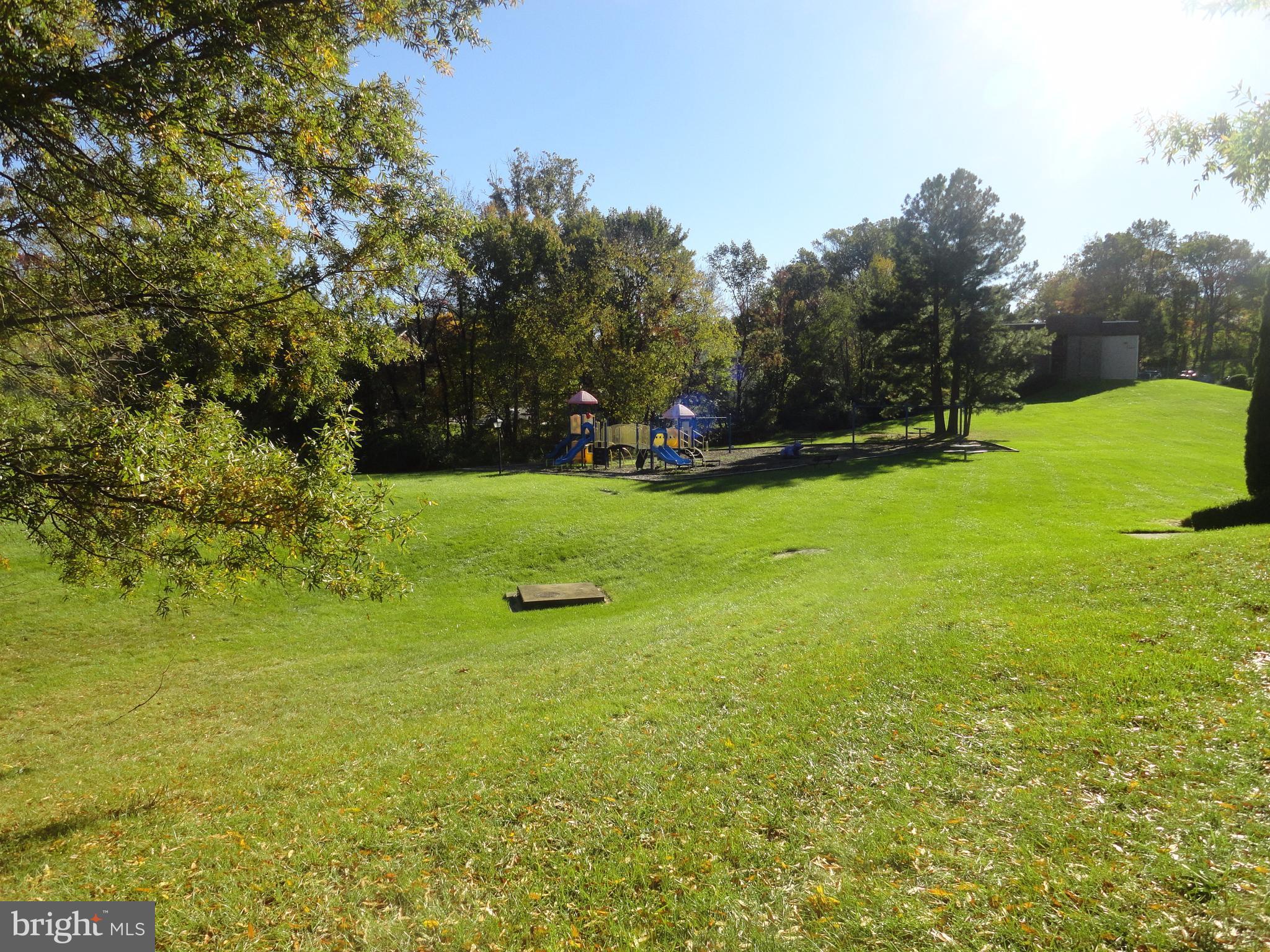 5802 Royal Ridge Drive, Unit B Springfield, VA 22152 - Photo 20 of 26 Community
