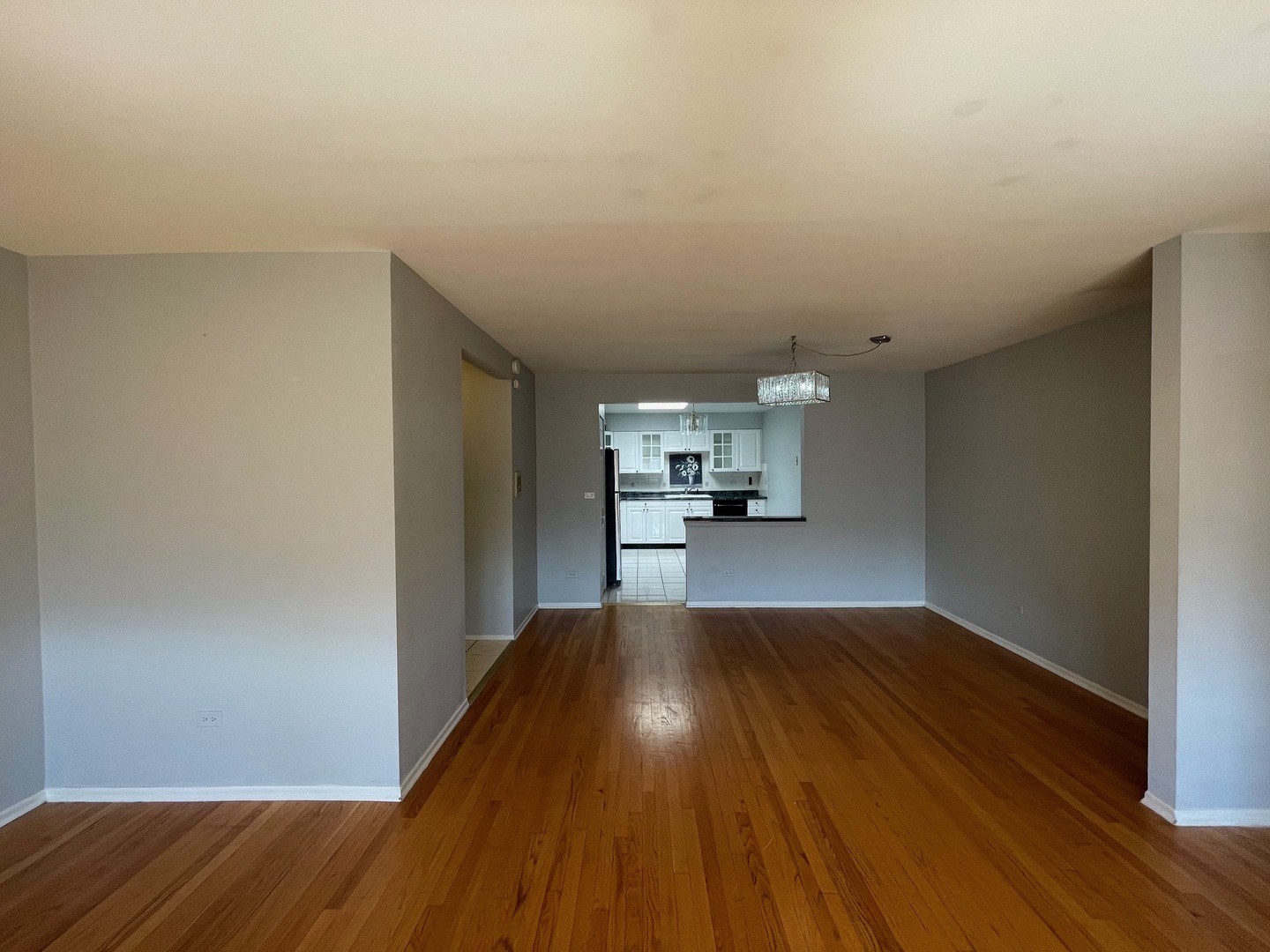 8203 Niles Center Road, Unit 3C Skokie, IL 60077 - Photo 10 of 20