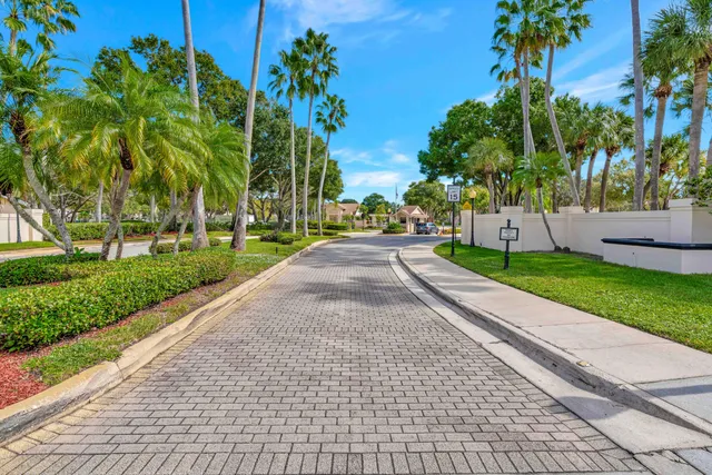 a view of a park with plants and trees