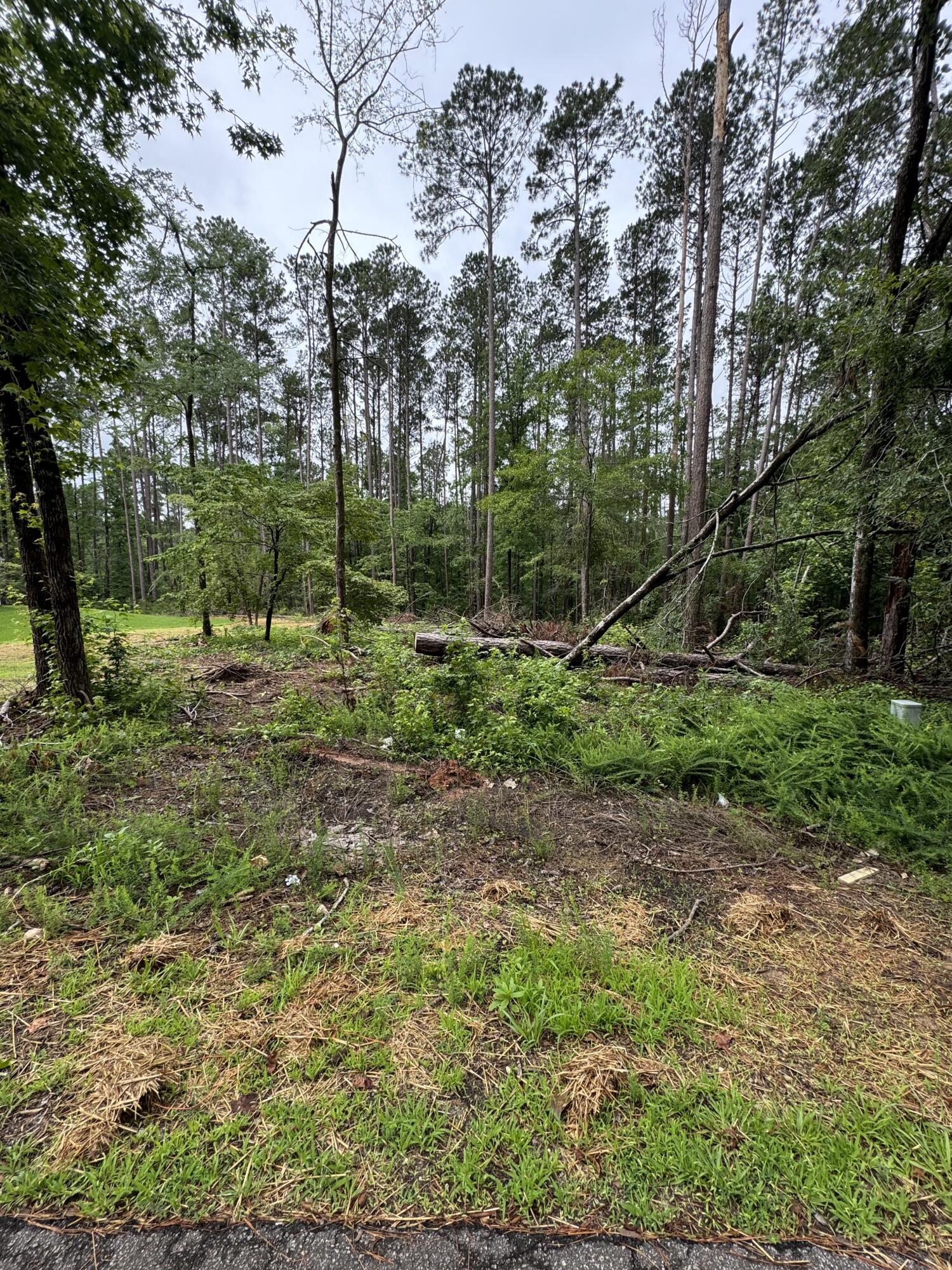 L7-b40 Martin Drive McCormick, SC 29835 - Photo 2 of 2 IMG_1208