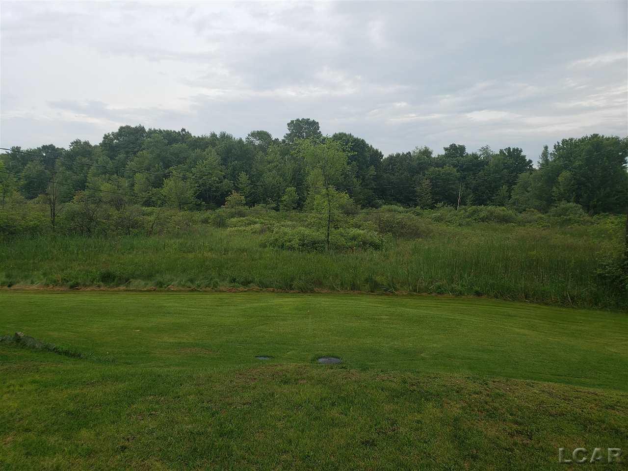 6975 Norvell Road Brooklyn, MI 49230 - Photo 4 of 16 50046864-3.JPG
